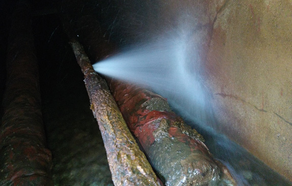 1658800346910798.jpg 57a895ad-401c-4ab0-8aaa-e1ca0510eba4.jpg