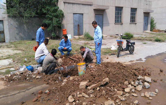 1658800625455158.jpg 3a3780fd-2bab-434e-a0fc-367c8d0b5df8.jpg